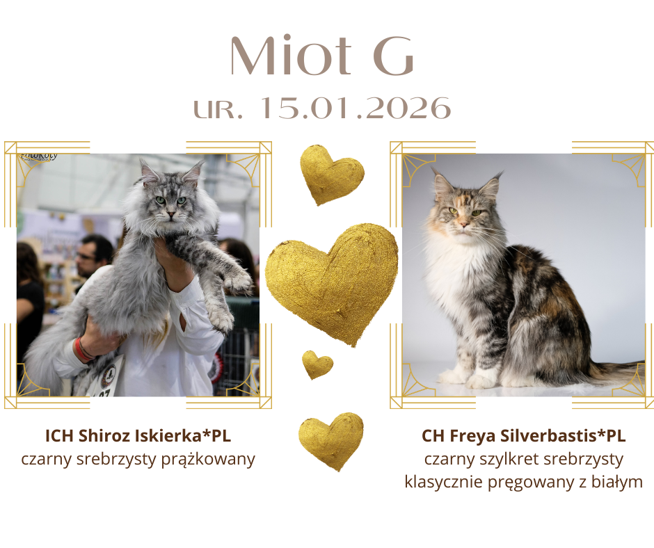 15.01.2026